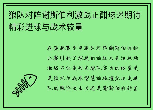 狼队对阵谢斯伯利激战正酣球迷期待精彩进球与战术较量